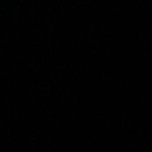 Meet your Posher, Lexi